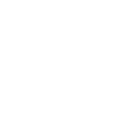 OliveiraThings